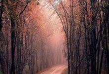 28圈:竞者|不自律的NBA第二胖 打过CBA蹲过监狱54岁英年早逝.