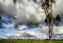 尴尬!日本世界冠军吐槽印度比赛馆:鸟粪落在场地 乒乓球上也有.