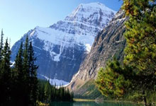 28圈:携手前行 共赴未来光明日报.